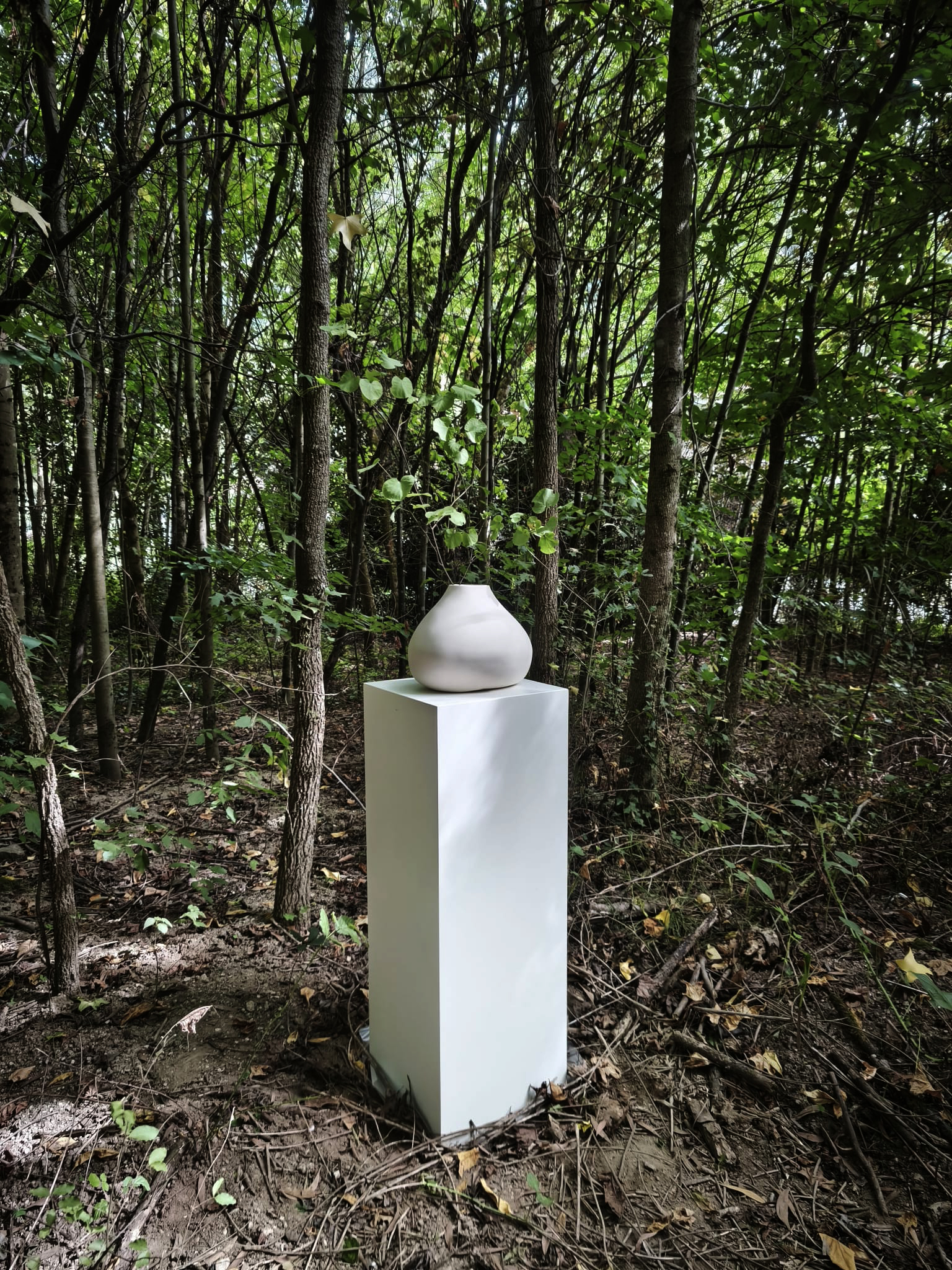 EXHIBITION AT CAVALUM