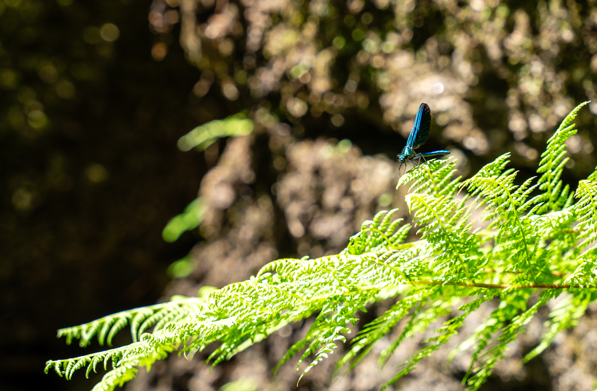 RE. CONNECT NATURE